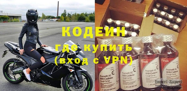 ПСИЛОЦИБИНОВЫЕ ГРИБЫ Арсеньев
