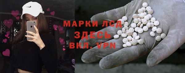 ПСИЛОЦИБИНОВЫЕ ГРИБЫ Арсеньев