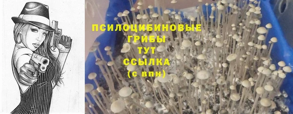 ПСИЛОЦИБИНОВЫЕ ГРИБЫ Арсеньев