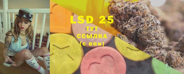 таблы Новозыбков