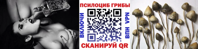 Галлюциногенные грибы мицелий  Рыльск 